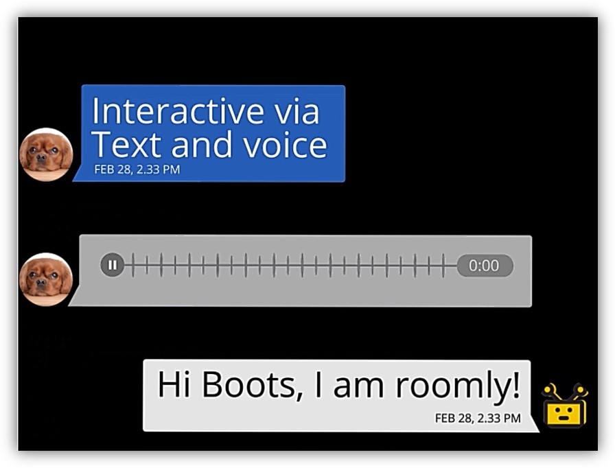 voice text